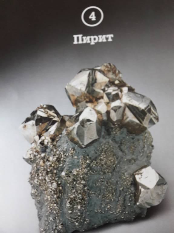 Семейное образование - 20180312_152106.jpg