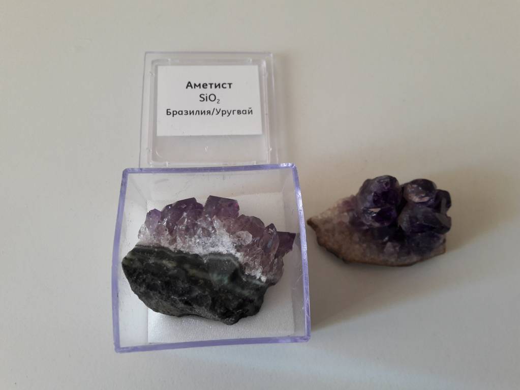 Семейное образование - 20180312_131255.jpg