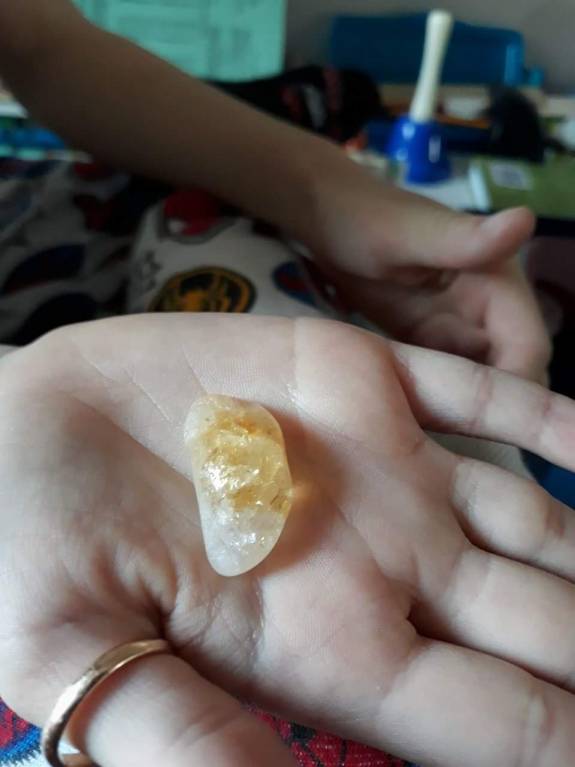 Семейное образование - received_155016801982510.jpeg