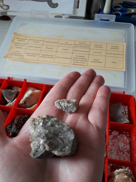 Семейное образование - 20180314_092744.jpg