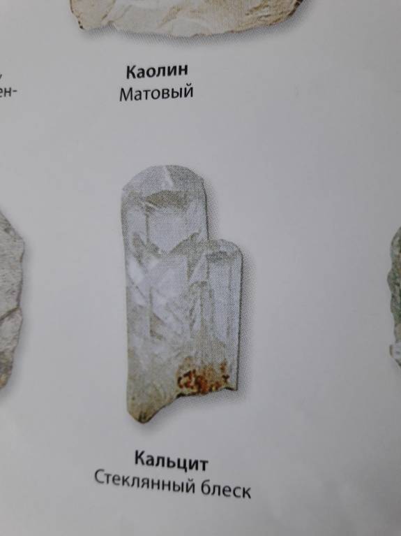 Семейное образование - 20180314_094339.jpg