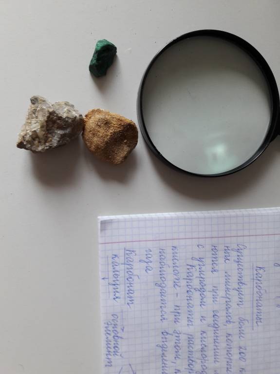 Семейное образование - 20180314_114440.jpg