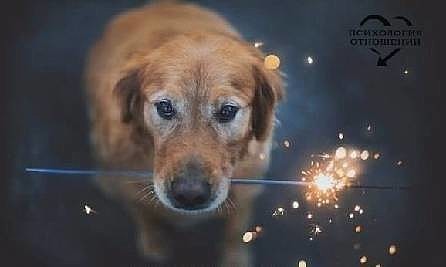 Назидательные истории и притчи - i-14262.jpg