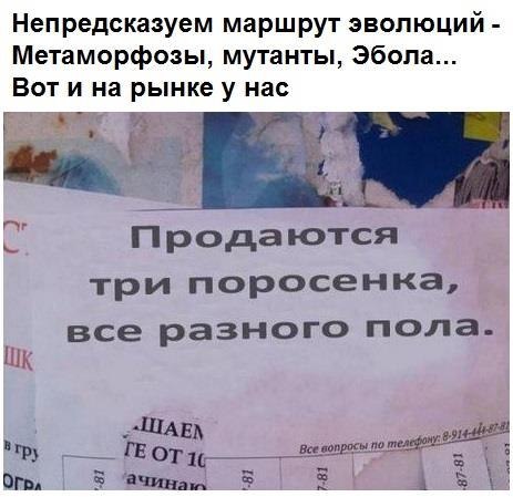 Пирожки они же перашки  - 3.jpg