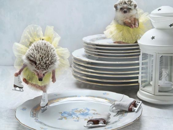 Аватар, аватар, аватар.... - dd6a1901dd7255de84ea12d4fa98107d.jpg