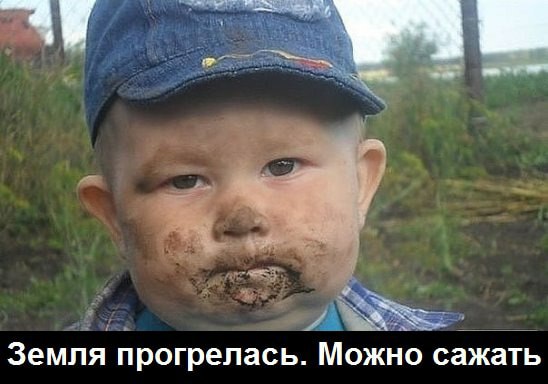  Веселые картинки  - 31081700_170608927099326_3068471452367761077_n.jpg