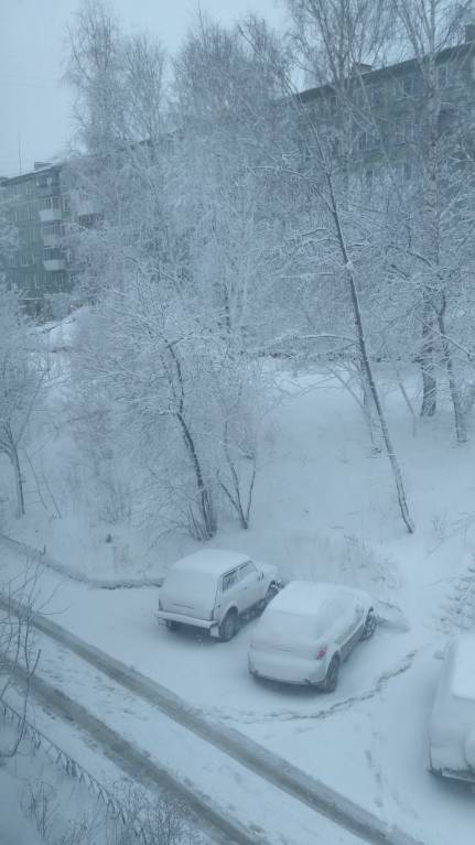 Каждая погода - благодать... - IMG_20180424_073738.jpg