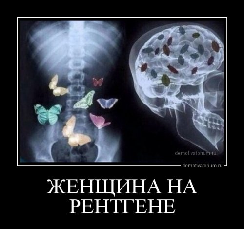 Женская логика - жл.jpg