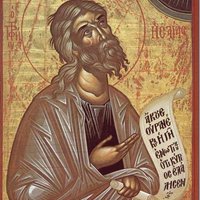 Подорожник - 1.jpg