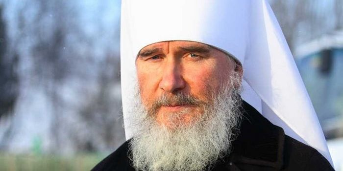 Подорожник - 231291.p.jpg