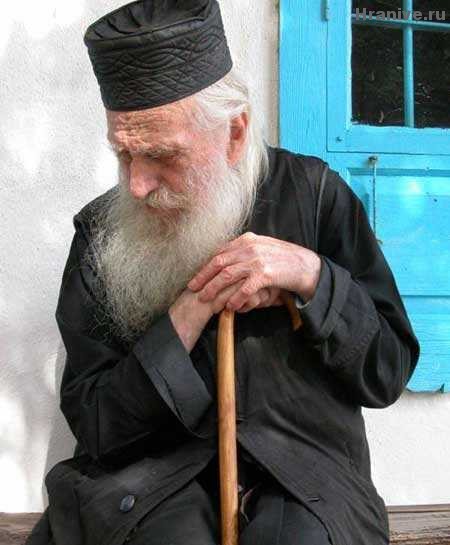 Подорожник - 19.jpg