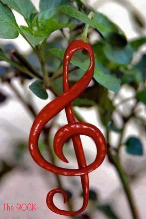 Аватар, аватар, аватар.... - 37584461_1869217453121636_3974201309925474304_n.jpg