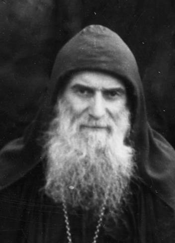 Подорожник - h-10067.jpg