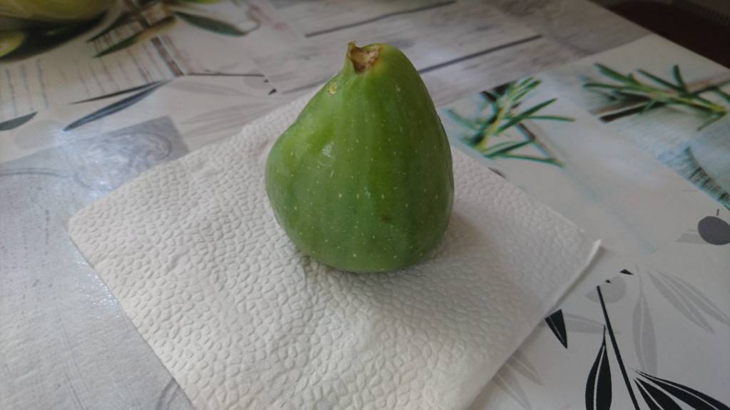 Угадайте, что это? - DSC_4238.JPG