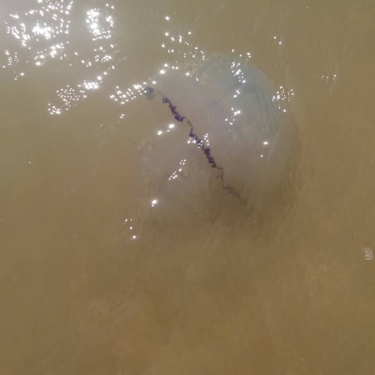 Каждая погода - благодать... - IMG_20180819_214036_133.jpg