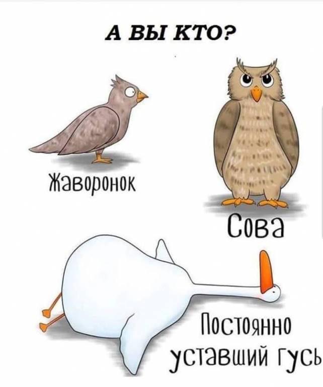 Посиделки - 40906750_889792361211626_7772756582206537728_n.jpg