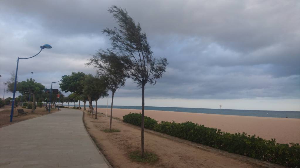 Reino de España - DSC_4459.JPG