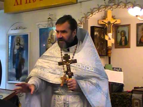 Подорожник - 3.jpg