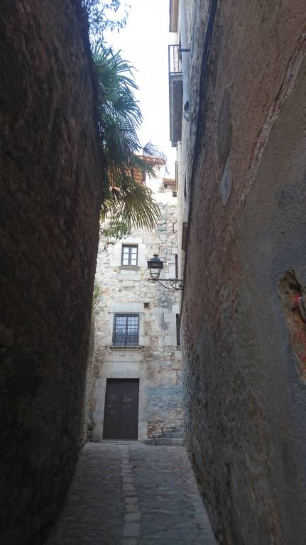 Reino de España - DSC_4537.JPG