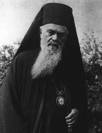 Подорожник - 15.jpg