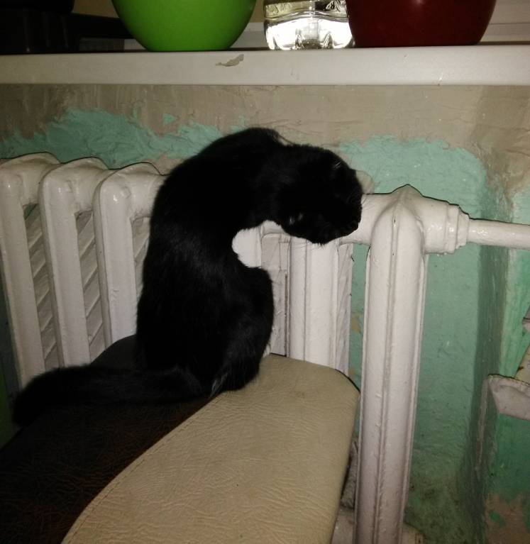 Каждая погода - благодать... - IMG_20181024_205047_1.jpg