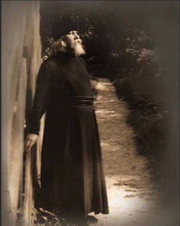 Подорожник - 5.jpg