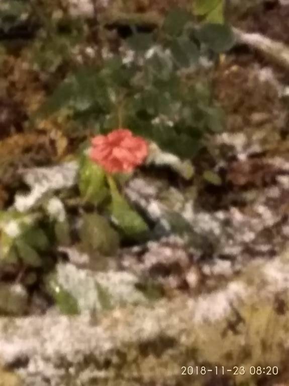 Каждая погода - благодать... - LZq4xXjw4IY.jpg