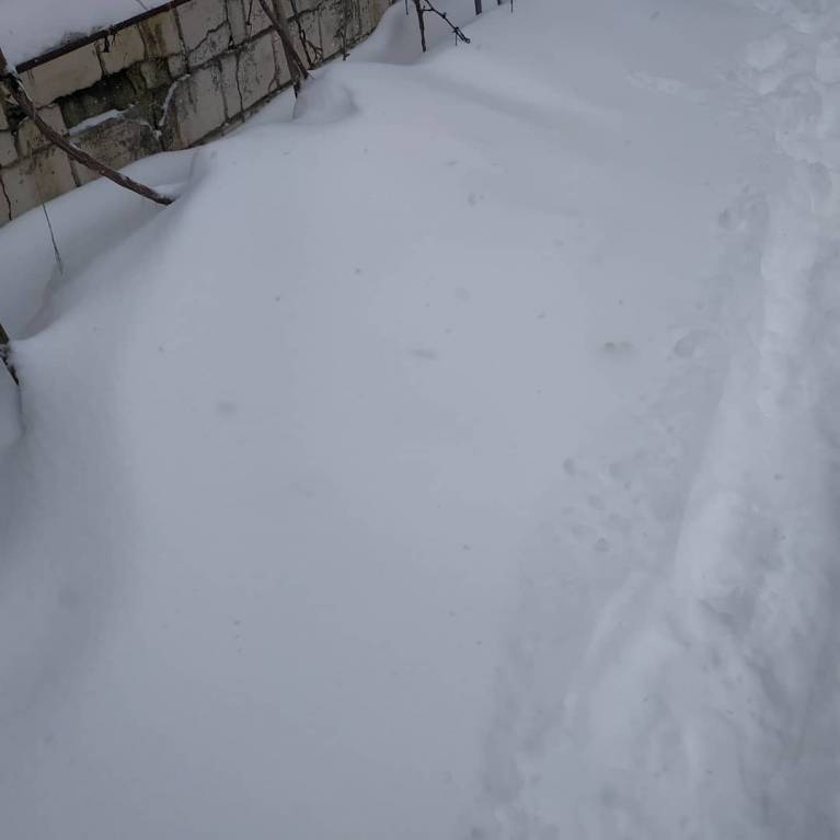 Каждая погода - благодать... - IMG_20190107_134140_679.jpg