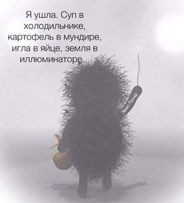 Ёжики, ежи, ежата - 49734917_2088565614516032_374993521599315968_n.jpg