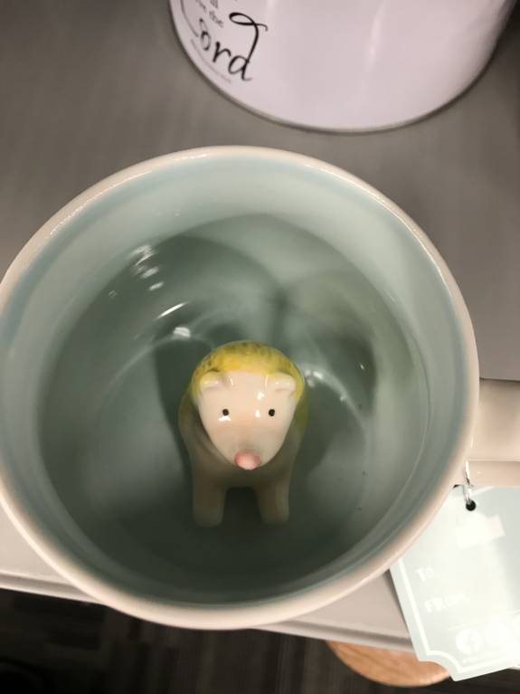 Ёжики, ежи, ежата - 257ED70B-67BD-4962-8A06-E77B03253235.jpeg