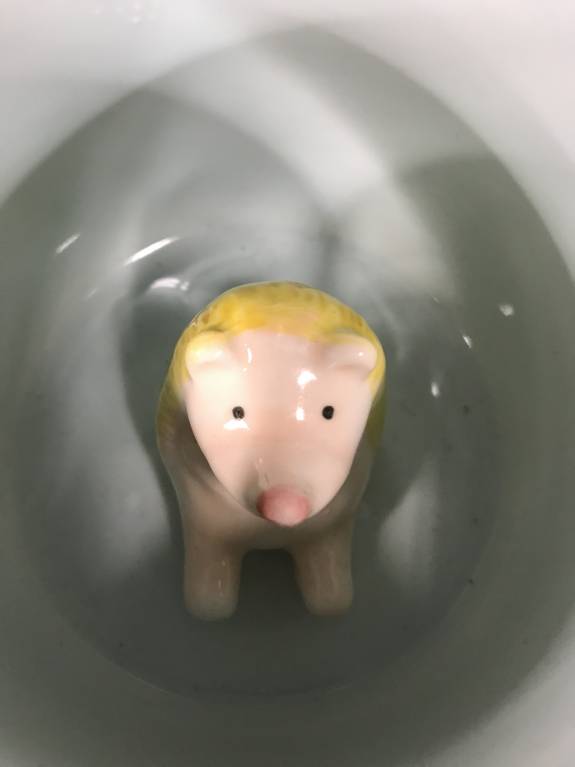 Ёжики, ежи, ежата - 0AEA0307-0C59-44CF-8301-2C960AF608A5.jpeg