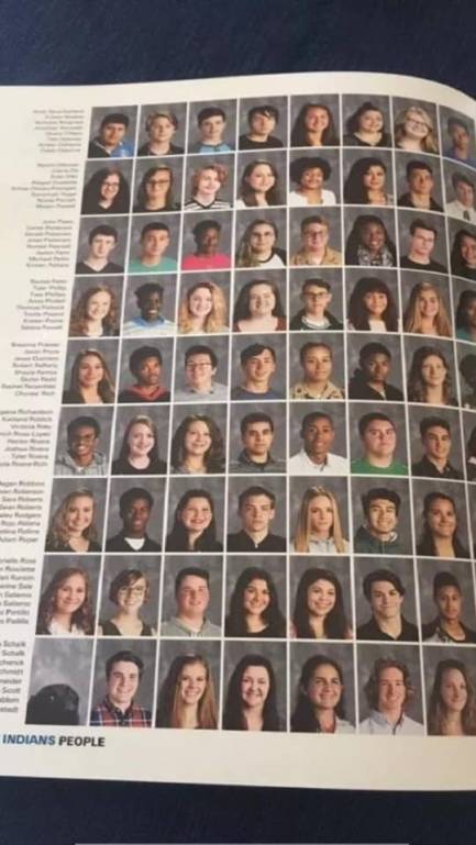 Наши верные друзья - собаки - 54727766_2328723194119733_4403176845244104704_n.jpg