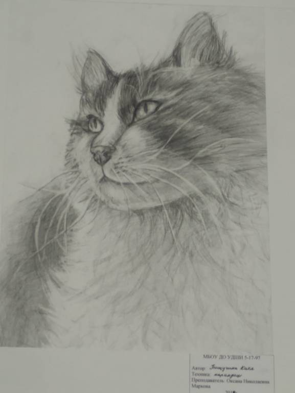 Творчество наших детей - IMG-20190515-WA0000.jpg