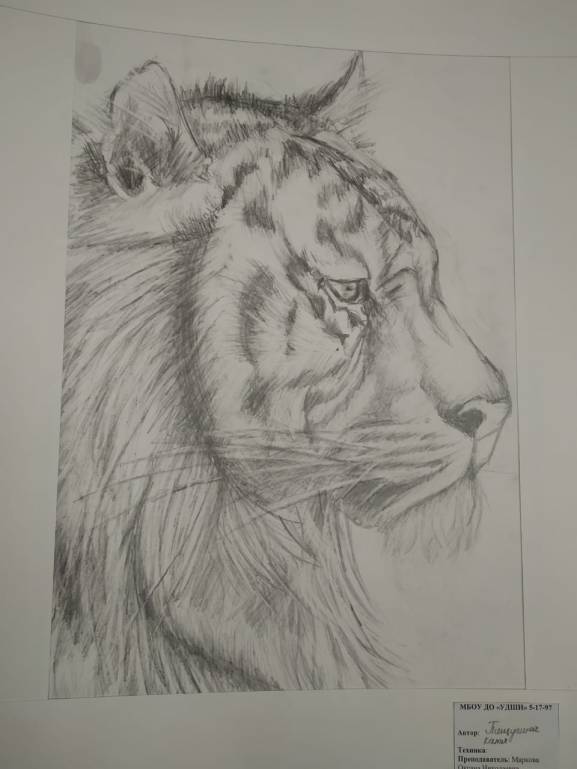 Творчество наших детей - IMG-20190515-WA0001.jpg