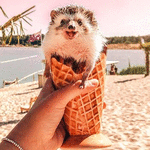 Аватар, аватар, аватар.... - 10108191105508746.gif