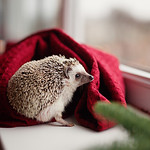 Аватар, аватар, аватар.... - image_11104191119423288099.jpg