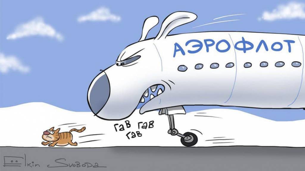 Кошки - очарование МОЁ - 1676274.jpg