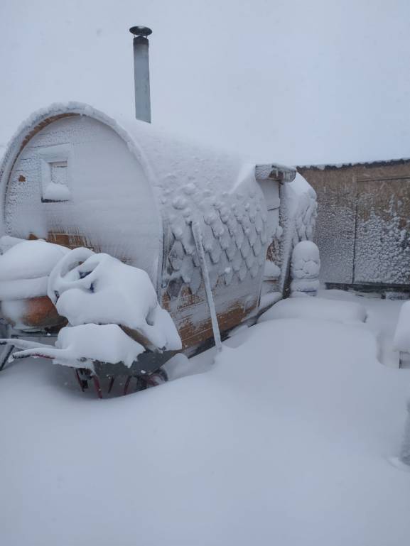 Каждая погода - благодать... - IMG-20200408-WA0020.jpg
