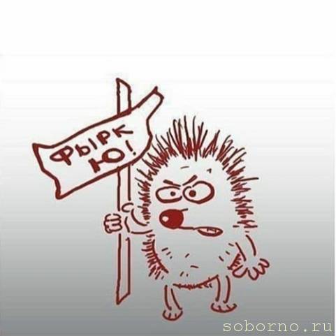 Ёжики, ежи, ежата - 20200610_032047.jpg