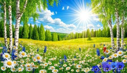 Виктор Шамонин-Версенев СТИХИ И СКАЗКИ - 0d2fb5b07c2b11f0bc897eeb1029c504_1.jpg