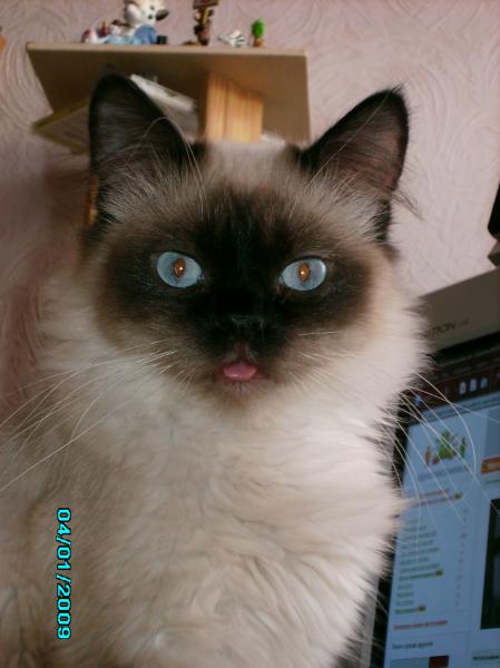 Обратите внимание на дату. - IMG_0018.JPG