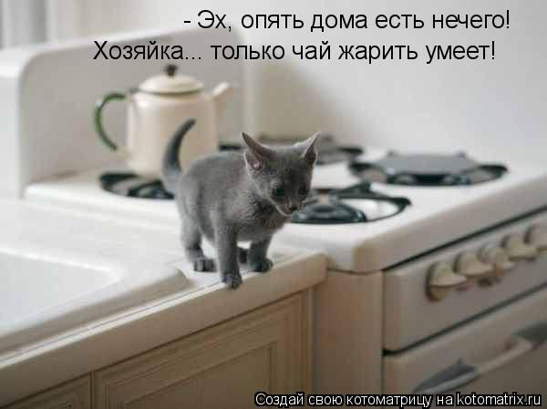 Они такие забавные смешные фото и видео - h576765767.jpg