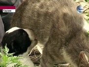 Маленькие сенсации в мире животных, и просто интересное - 01.jpg