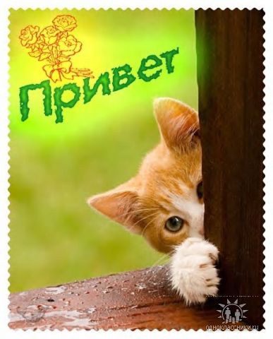 Трям. Здравствуйте. - 1236184160rot.jpg