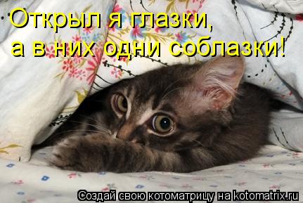 Трям. Здравствуйте. - 620133.jpg