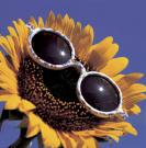 Трям. Здравствуйте. - e24f2b85506efb87c0a2a9f7dc238774.jpg