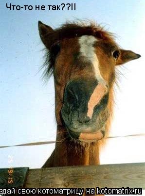 Трям. Здравствуйте. - h4.jpg