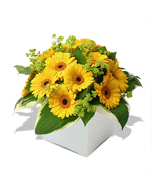 Трям. Здравствуйте. - flower_gaphics_wallot_ru%20(56).gif