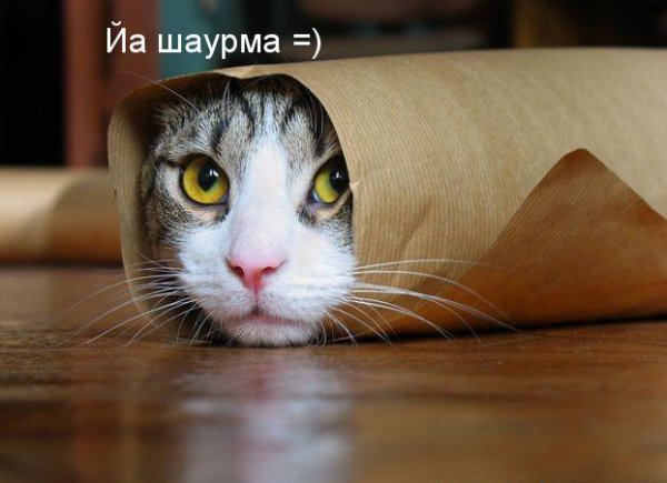 Бал-маскарад - 1230314284_33.jpg