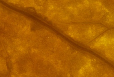 Фото 12 - фото 2064.jpg